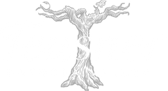 Teusner